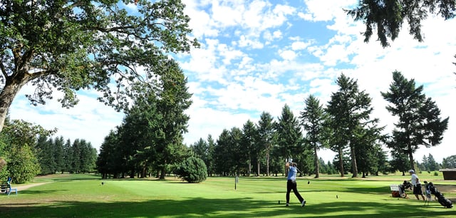 meadow park golf course 2