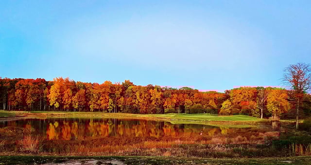 Frog Hollow Golf Club & Restaurant5