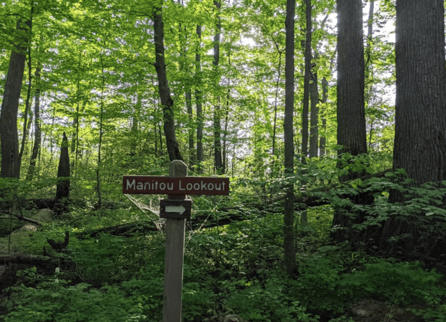 Clay Cliffs Natural Area 6