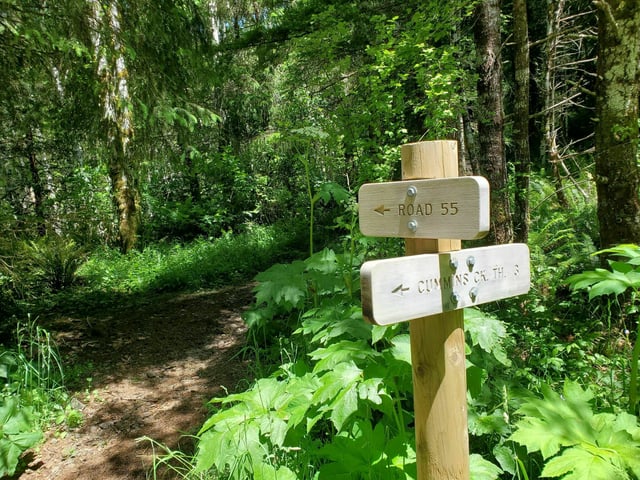 Cummins Creek Trail3