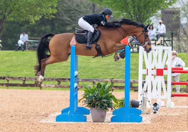 Texas Rose Horse Park 5