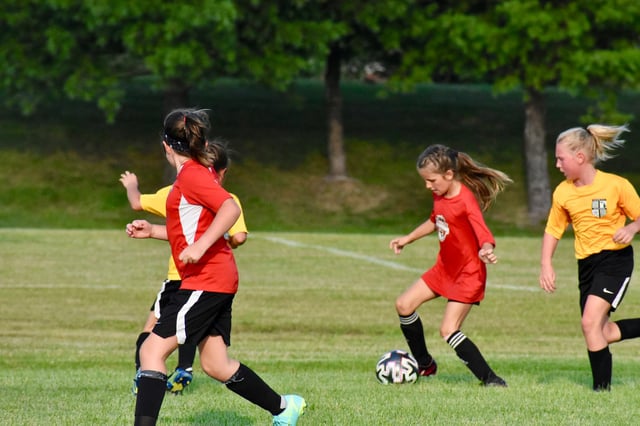 Kingdom Sports 4