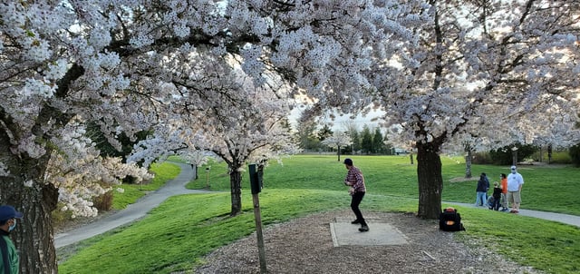 Orchard Park Disc Golf Course