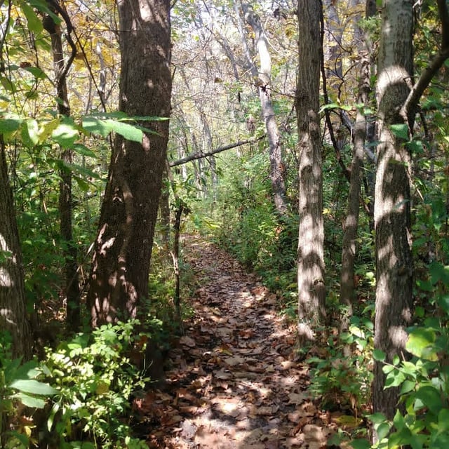 Little Blue Trace Park 6