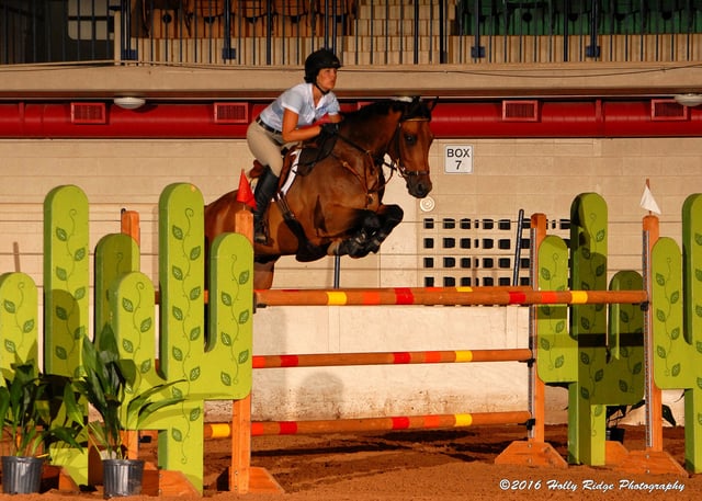 Extraco Events Center9