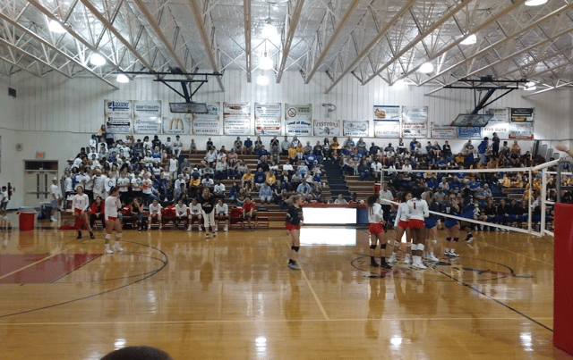 Screen Shot 2024-11-19 at 1.52.49 PM.png