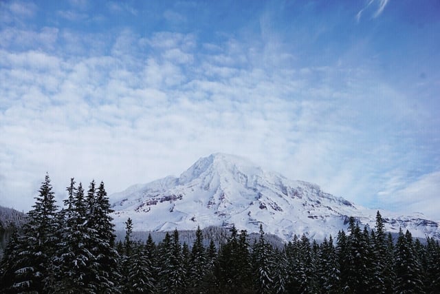 Whitetaker Mountaineering6