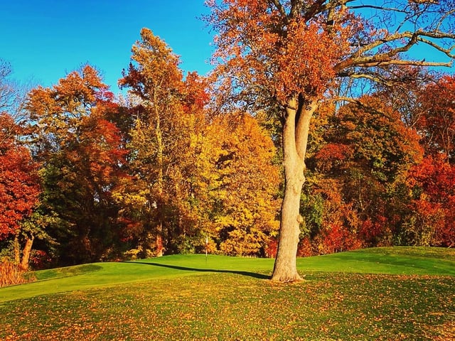 Frog Hollow Golf Club & Restaurant2