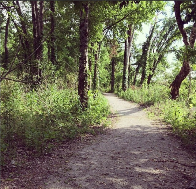 Music Bend Nature Trail 1