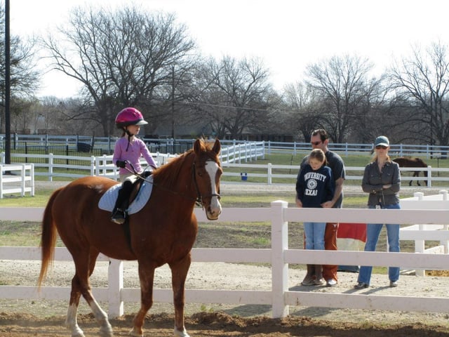 Dallas Equestrian Center8
