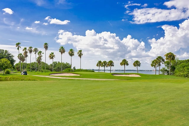 cove cay palms