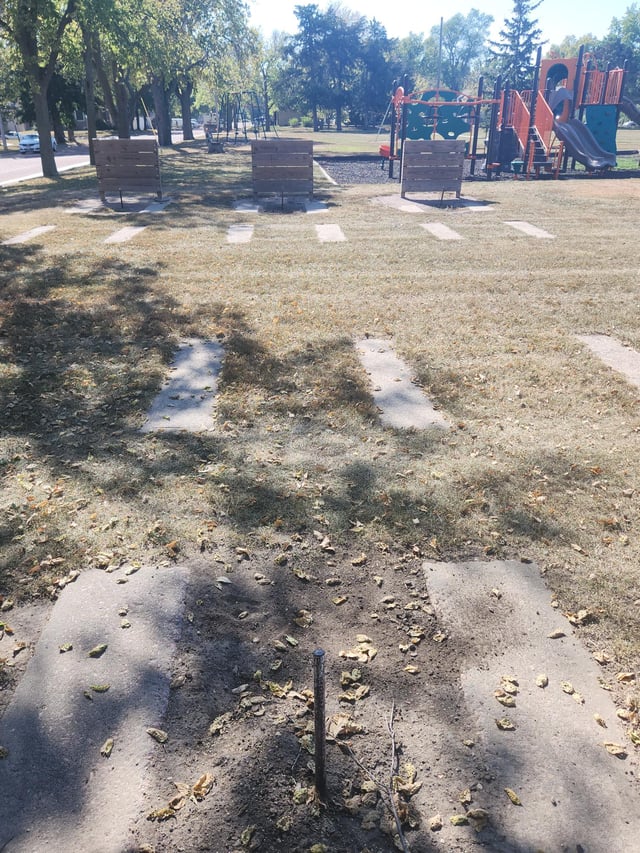 Monroe Horseshoes.jpg