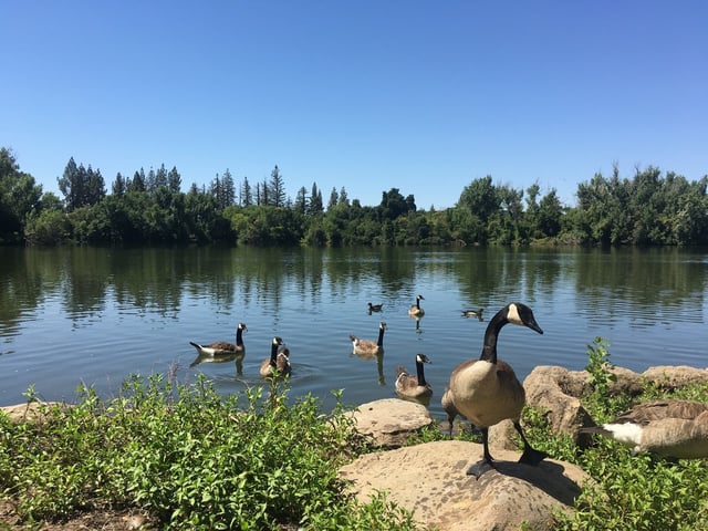 Woodward Park 3