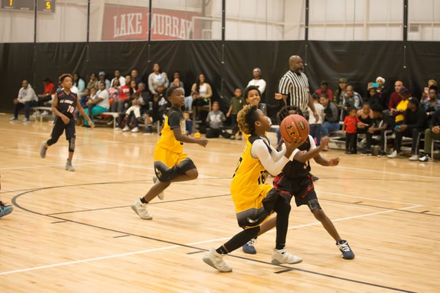 46816182_2556908231212268_917251709862936576_o