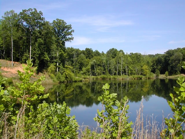 broad river