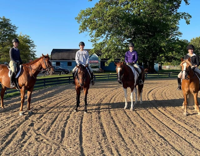 Equine Differences 9