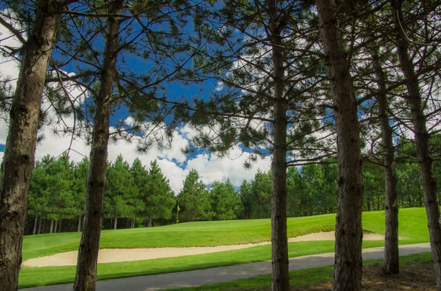 Bahle Farms Golf Course 5
