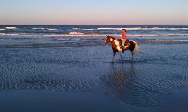 Equestrian Adventures Of Florida - Photos | Playeasy