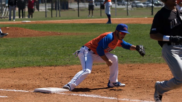 Tiger Baseball Field