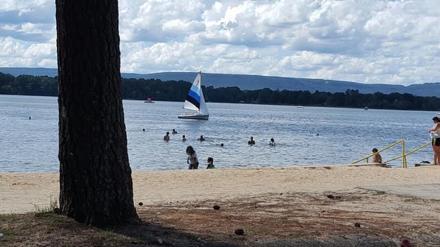 Chester Frost Park 2