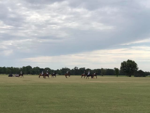 Fairfield Polo Club7