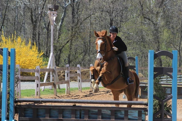 Virtue Stables2