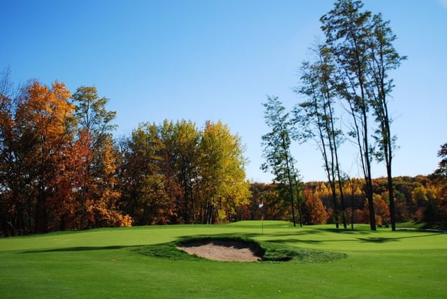 Wild Rock Golf 4