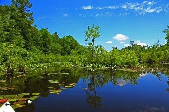 Lake Rim 3