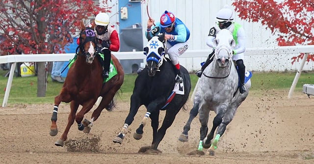 ajax downs horse race.jpg