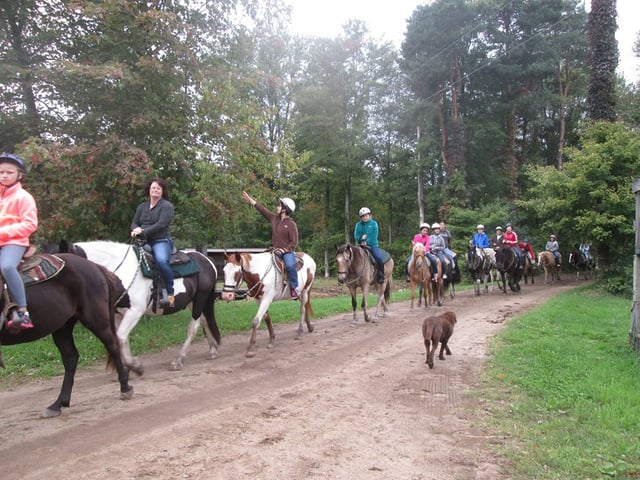 Wild West Ranch LLC4