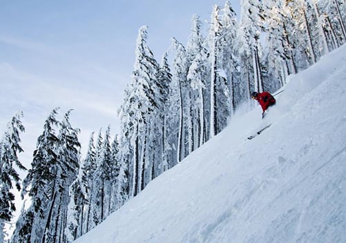 Willamette Pass Ski Area 4
