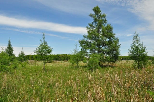 Bernard W. Baker Sanctuary