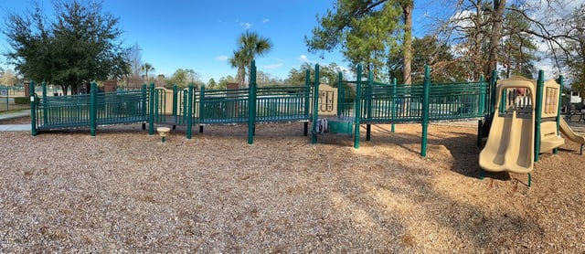 Palmetto Park6