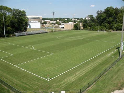 strassweg field.jpg