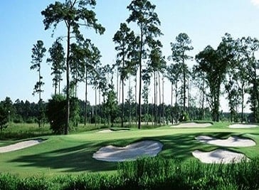 Gray Plantation Golf Club 4
