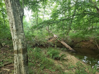 Little Cedar Creek Campground2