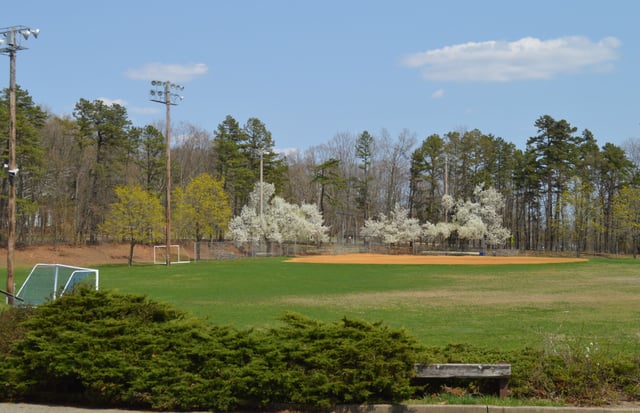 David Martin Soccer Field2