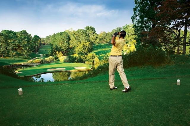 Traditions Golf Clubs 6