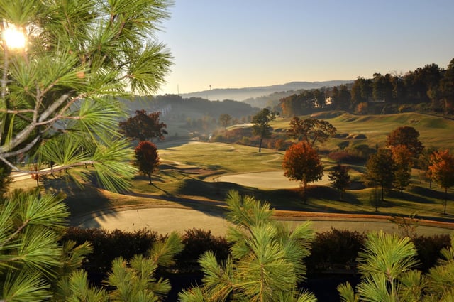 464646_10150640109054716_1314844623_o