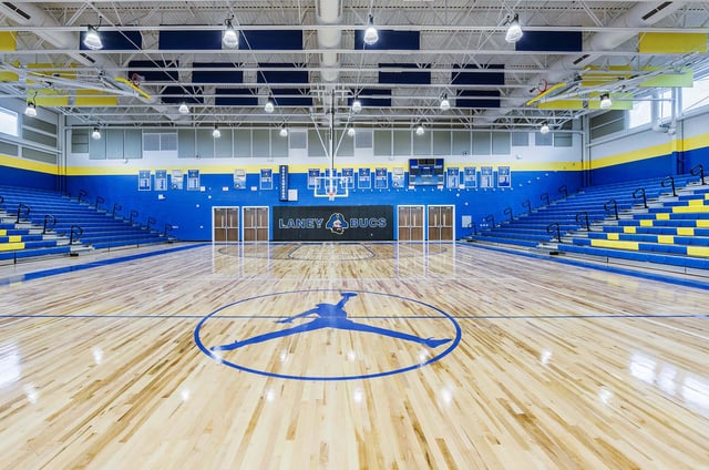 Laney 1