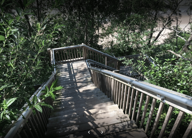 casco township nature 4