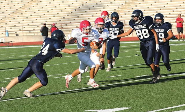 Wool Bowl Stadium4