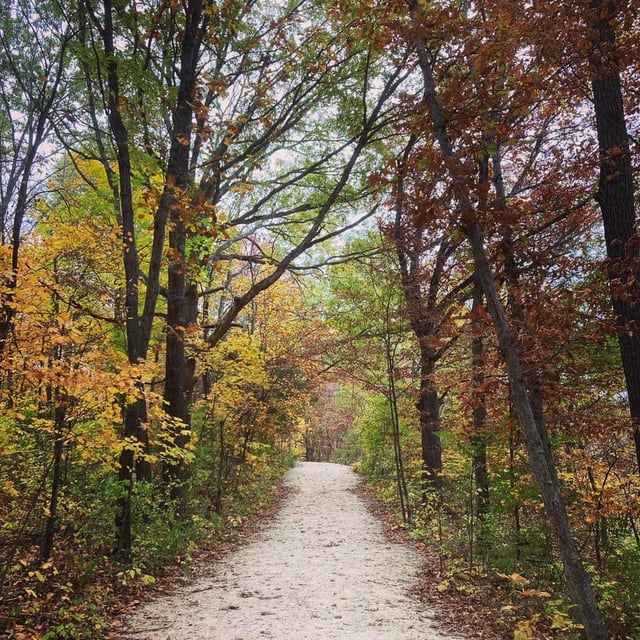 Starr's Cave Park & Preserve 4