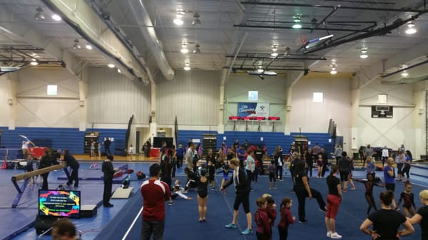 Coral Springs gymnastics