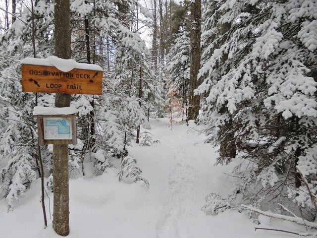 Kehl Lake Natural Area4