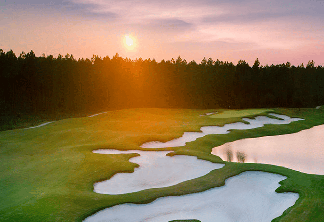 amelia national 2.PNG