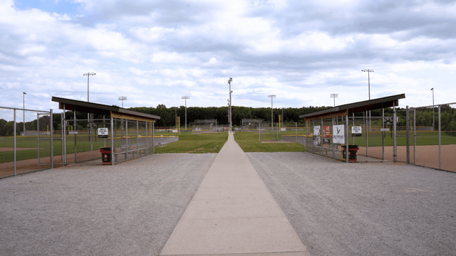 Untitled design (11).png