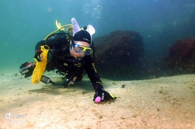 Aquatic Adventures of MI 5