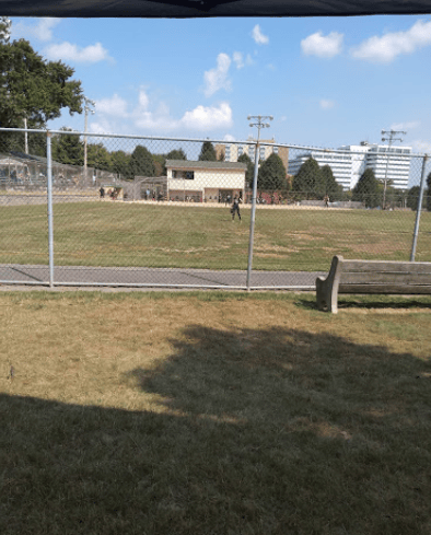Green Tree Park 1