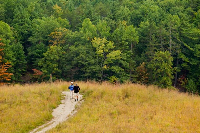 Reffitt Nature Preserve 3